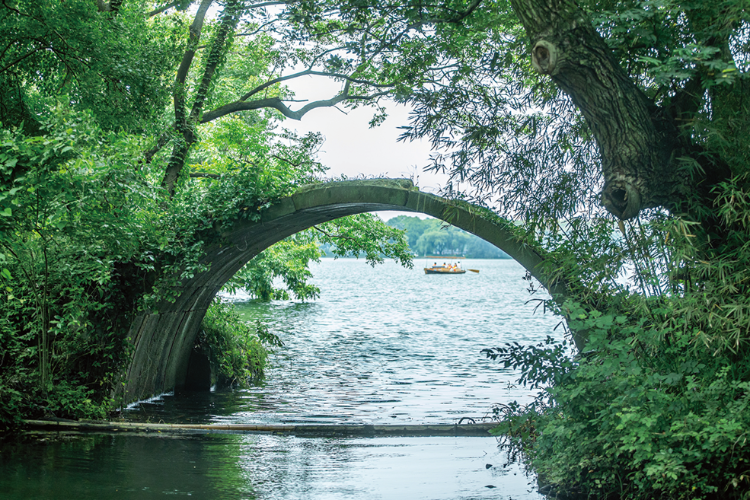 低调了两三百年 杨公堤仅剩的一座古桥 藏在西湖深处
