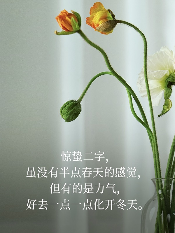 配图3